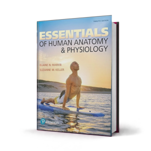 Essentials of Human Anatomy and Physiology — 12th Edition