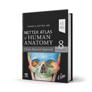 Netter Atlas of Human Anatomy Classic Regional Approach — 8th Edition