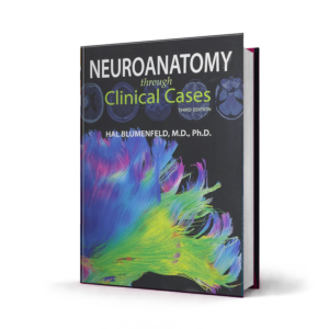 Neuroanatomy through Clinical Cases — 3rd Edition