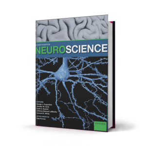 Neuroscience — 7th Edition